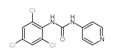 Rho激酶抑制剂II结构式