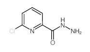6-Chloropyridine-2-carbohydrazide结构式