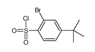 2-bromo-4-tert-butylbenzenesulfonyl chloride结构式